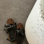 Leopard Ballerina