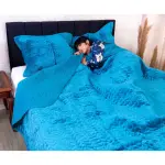 SereneSonic Ultrasonic Bed Cover