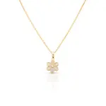 Gold Set