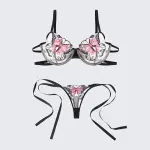 Butterfly Sheer Embroidered Mesh Bra Panty Set