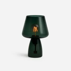 Cove  Brandy See-thru Collection