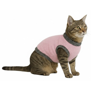 Cat's clothes Large Kashmir