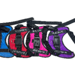 Harness (Purple-Red-Black-Blue-Brown)