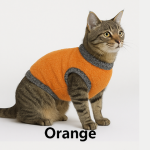 Cat's clothes Small Orange