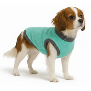 puppy clothes X-Large mINT BLUE